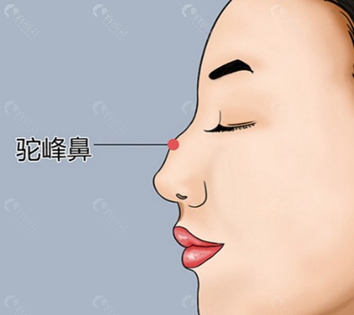曹海峰