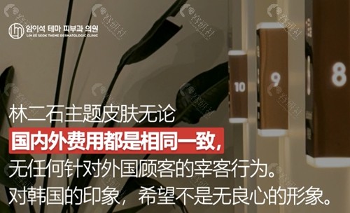 韩国林二石主题皮肤科怎么样