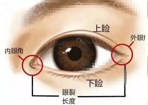张晓龙开眼角好吗