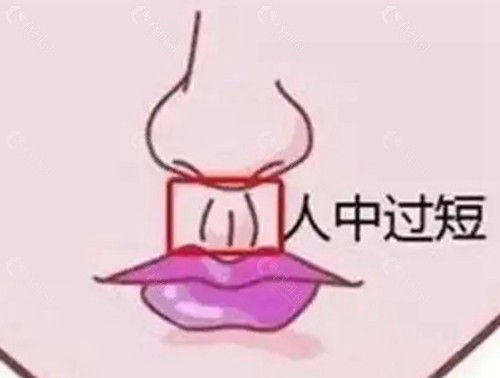 王晓健