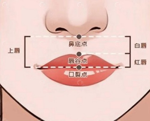 周文武