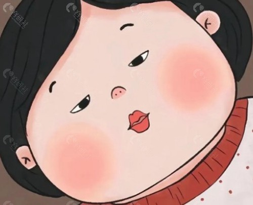 珠三角周边：性价比与口碑之选