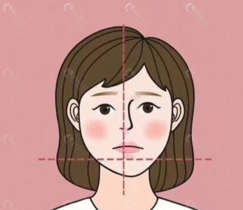 搜狗高速浏览器截图20260309153928
