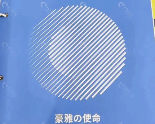 避坑指南:到底该选哪一款? 避坑指南:到底该选哪一款?