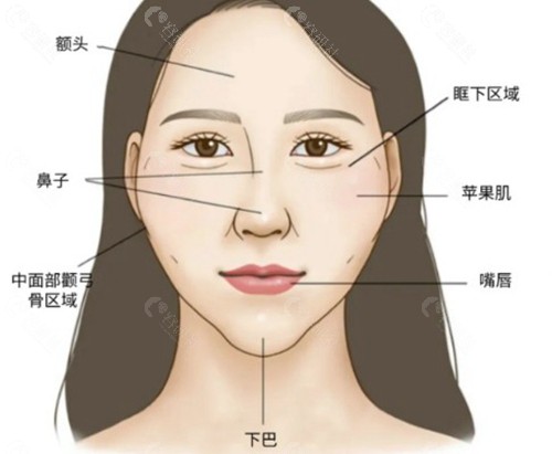 蒋铮铮：骨相美学的“微雕师”