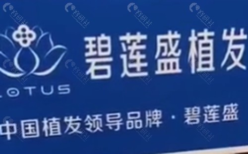 厦门碧莲盛植发好吗