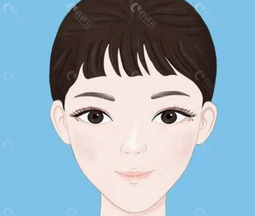 骨相重塑：梦想与雕刻的“硬核抗衰”