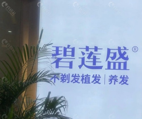 2026 碧莲盛植发主流预约挂号方式