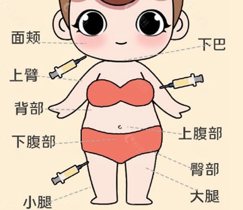 冯斌脂雕到底贵不贵？