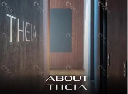 韩国 Theia 皮肤科做onda瘦腿技术好吗