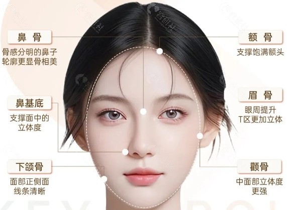 什么是“骨相美学抗衰”?为什么要从深层骨相入手? 什么是“骨相美学抗衰”?为什么要从深层骨相入手?