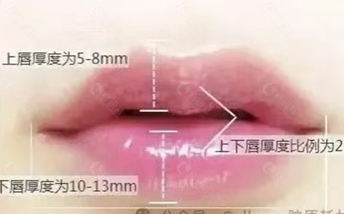 顾繁唇部整形怎么样