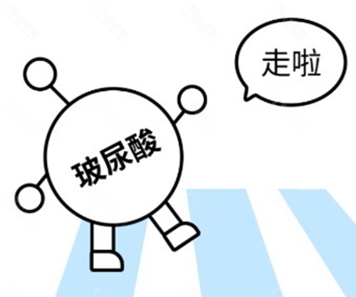 玻尿酸溶解酶的核心工作原理是什么? 玻尿酸溶解酶的核心工作原理是什么?