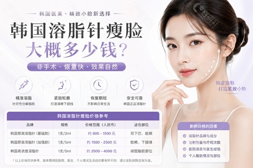 韩国溶脂瘦脸价格表