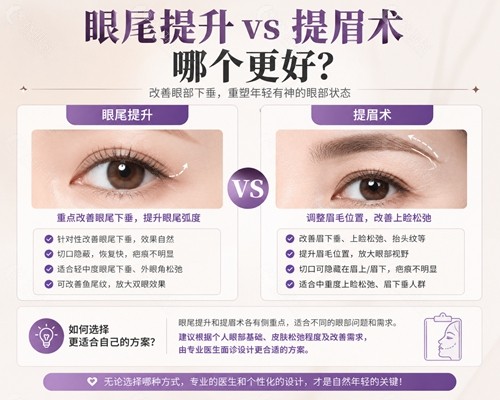 眼尾提升 vs 提眉术哪个更好? 眼尾提升 vs 提眉术哪个更好?