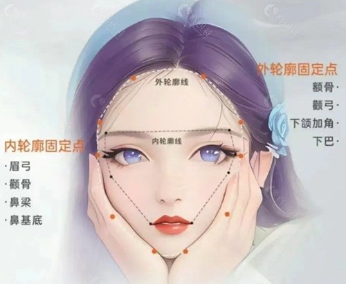 于新国与刘佳东做轮廓固定哪个好