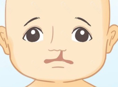 毛喆医生:功能与美学双修的“精雕艺术家” 毛喆医生:功能与美学双修的“精雕艺术家”