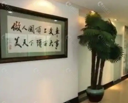 北京中德植发不同技术方法费用 北京中德植发不同技术方法费用