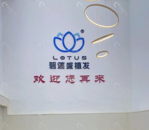 碧莲盛植发基础检查到底收不收费?2026年真实行情 碧莲盛植发基础检查到底收不收费?2026年真实行情