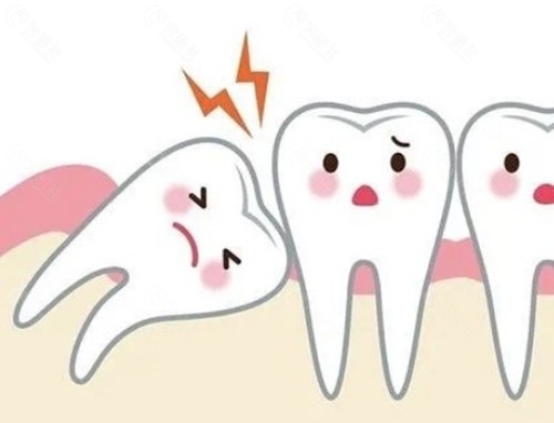 费用拆解:4000元的账单里,钱到底花在哪了? 费用拆解:4000元的账单里,钱到底花在哪了?