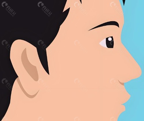 洪春医生鼻修复技术好不好? 洪春医生鼻修复技术好不好?